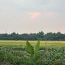 @THANHTRAN179189 twitter image